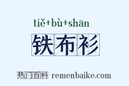 铁布衫是什么意思的图片